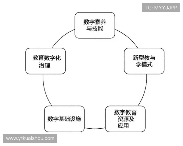 羽毛球战术解析：北京羽毛球队反击体系的策略与实践探讨