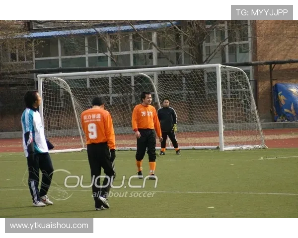 杭州排球队快攻战术解析与实战应用研究